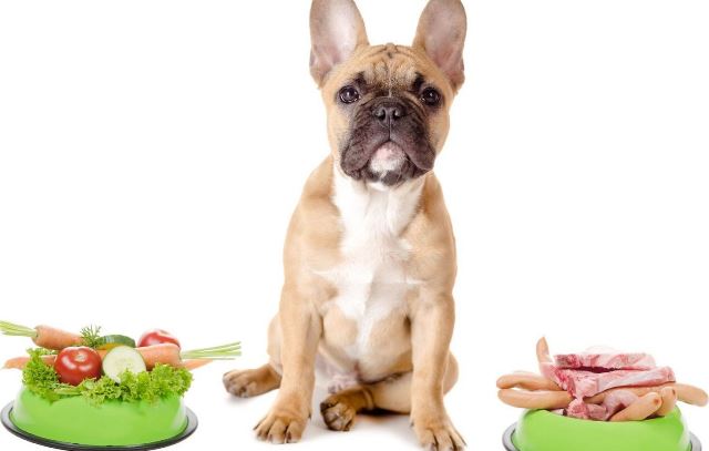 Best dog food for overweight dogs